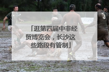 逛第四届中非经贸博览会，长沙这些路段有管制