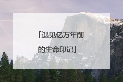 遇见亿万年前的生命印记
