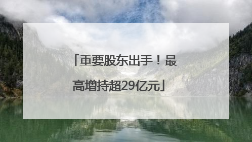 重要股东出手！最高增持超29亿元