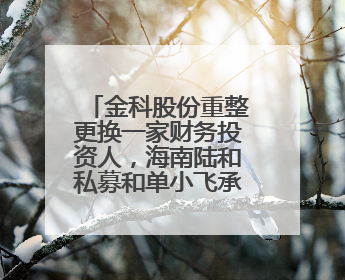 金科股份重整更换一家财务投资人，海南陆和私募和单小飞承接其投资额度