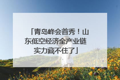 青岛峰会首秀！山东低空经济全产业链实力藏不住了