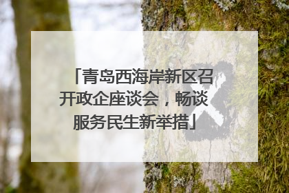 青岛西海岸新区召开政企座谈会，畅谈服务民生新举措