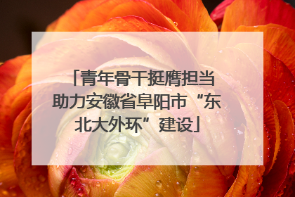 青年骨干挺膺担当 助力安徽省阜阳市“东北大外环”建设