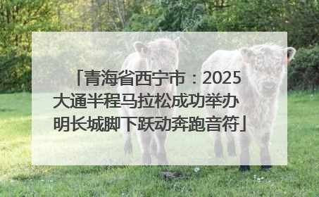 青海省西宁市：2025大通半程马拉松成功举办 明长城脚下跃动奔跑音符