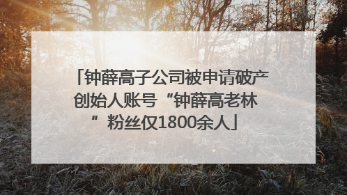 钟薛高子公司被申请破产 创始人账号“钟薛高老林”粉丝仅1800余人