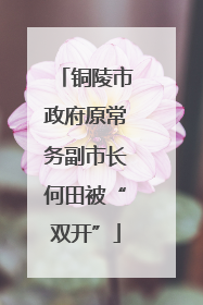 铜陵市政府原常务副市长何田被“双开”