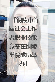 铜陵市首届社会工作者职业技能竞赛在铜陵学院成功举办