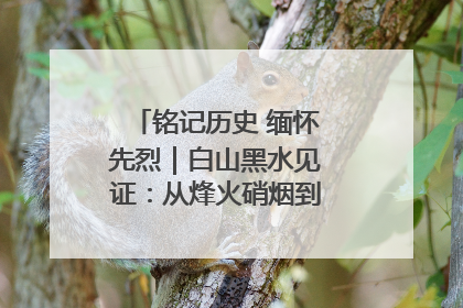 铭记历史 缅怀先烈｜白山黑水见证：从烽火硝烟到振兴热土的巨变
