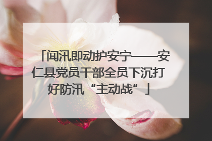 闻汛即动护安宁——安仁县党员干部全员下沉打好防汛“主动战”