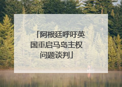 阿根廷呼吁英国重启马岛主权问题谈判