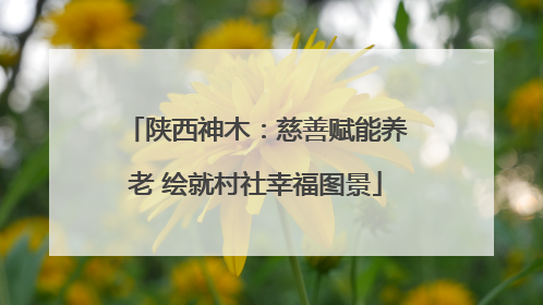 陕西神木：慈善赋能养老 绘就村社幸福图景