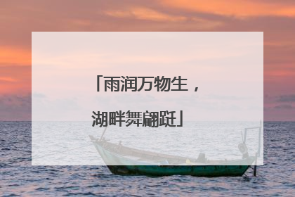雨润万物生，湖畔舞翩跹