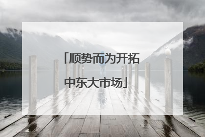 顺势而为开拓中东大市场
