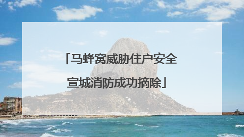 马蜂窝威胁住户安全 宣城消防成功摘除