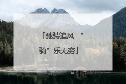 驰骋追风 “骑”乐无穷