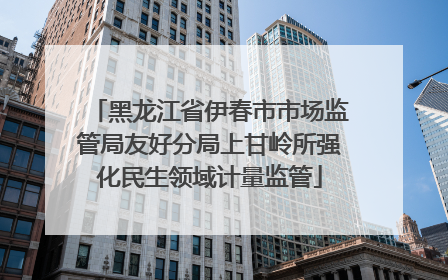黑龙江省伊春市市场监管局友好分局上甘岭所强化民生领域计量监管