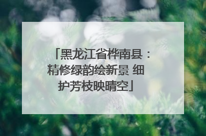 黑龙江省桦南县：精修绿韵绘新景 细护芳枝映晴空
