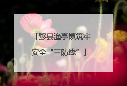黟县渔亭镇筑牢安全“三防线”
