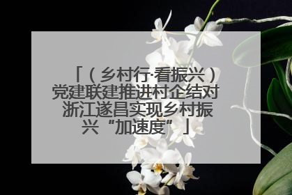 （乡村行·看振兴）党建联建推进村企结对 浙江遂昌实现乡村振兴“加速度”