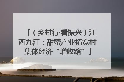 （乡村行·看振兴）江西九江：甜蜜产业拓宽村集体经济“增收路”