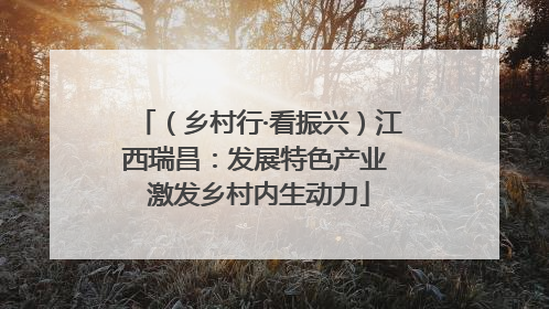 （乡村行·看振兴）江西瑞昌：发展特色产业 激发乡村内生动力