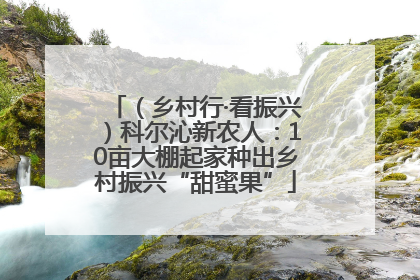 （乡村行·看振兴）科尔沁新农人：10亩大棚起家种出乡村振兴“甜蜜果”