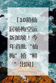 10箱仙居杨梅空运新加坡！今年首批“仙梅”抢“鲜”出国