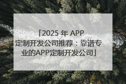 2025 年 APP 定制开发公司推荐：靠谱专业的APP定制开发公司