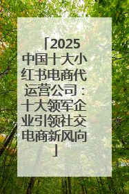 2025中国十大小红书电商代运营公司：十大领军企业引领社交电商新风向