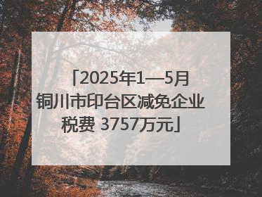 2025年1—5月铜川市印台区减免企业税费 3757万元