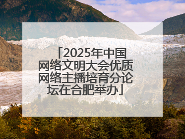 2025年中国网络文明大会优质网络主播培育分论坛在合肥举办