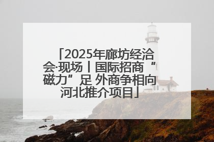 2025年廊坊经洽会·现场丨国际招商“磁力”足 外商争相向河北推介项目