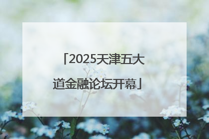 2025天津五大道金融论坛开幕