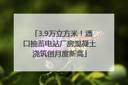 3.9万立方米！潘口抽蓄电站厂房混凝土浇筑创月度新高