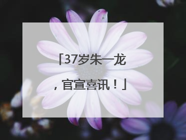 37岁朱一龙,官宣喜讯!