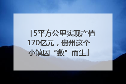 5平方公里实现产值170亿元，贵州这个小镇因“数”而生