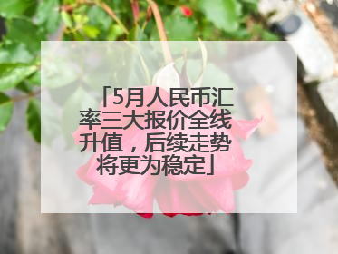 5月人民币汇率三大报价全线升值，后续走势将更为稳定