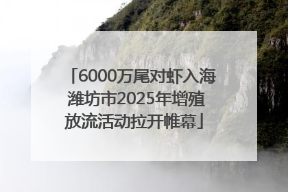 6000万尾对虾入海 潍坊市2025年增殖放流活动拉开帷幕